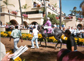 Del Mar